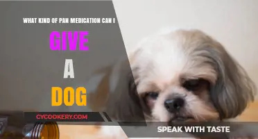 Safe Human Pain Meds for Dogs?