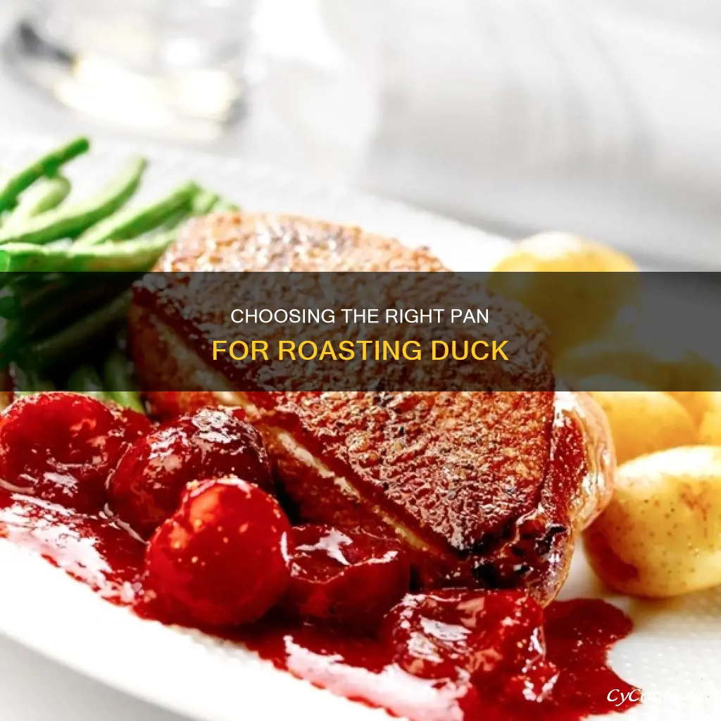 what kind of pan to roast a duck in