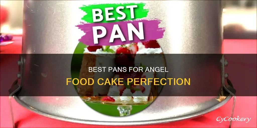 what kind of pans can you use for angle food