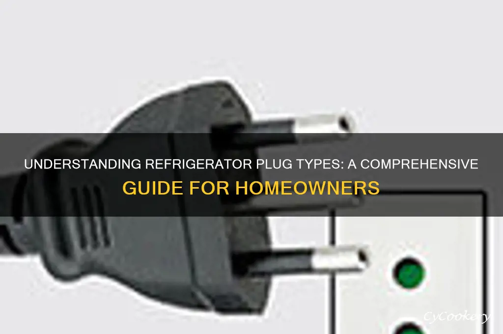 what kind of plug do refrigerators have