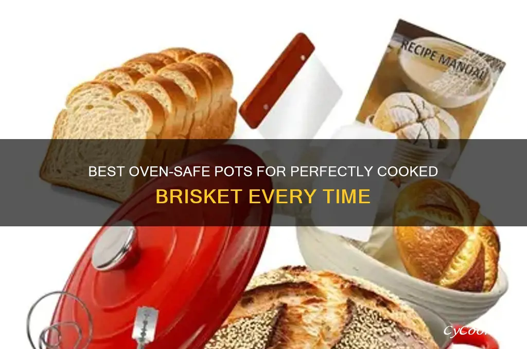 what kind of pot for an oven cooked brisket
