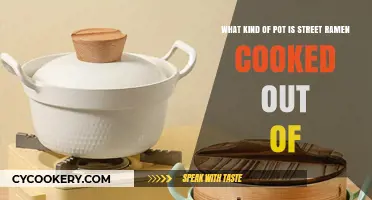 Street Ramen Secrets: Unveiling the Perfect Pot for Authentic Flavor