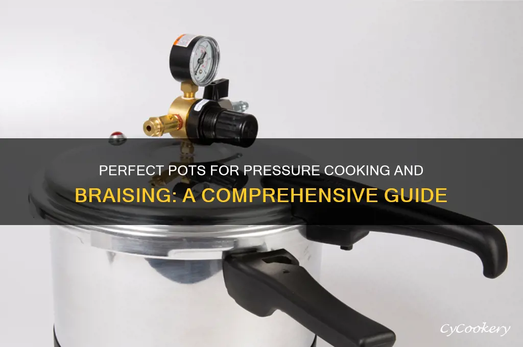 what kind of pot pressure cooks and braises