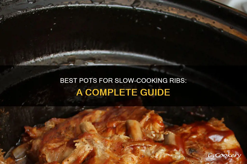 what kind of pot shoud you slow cook ribs in
