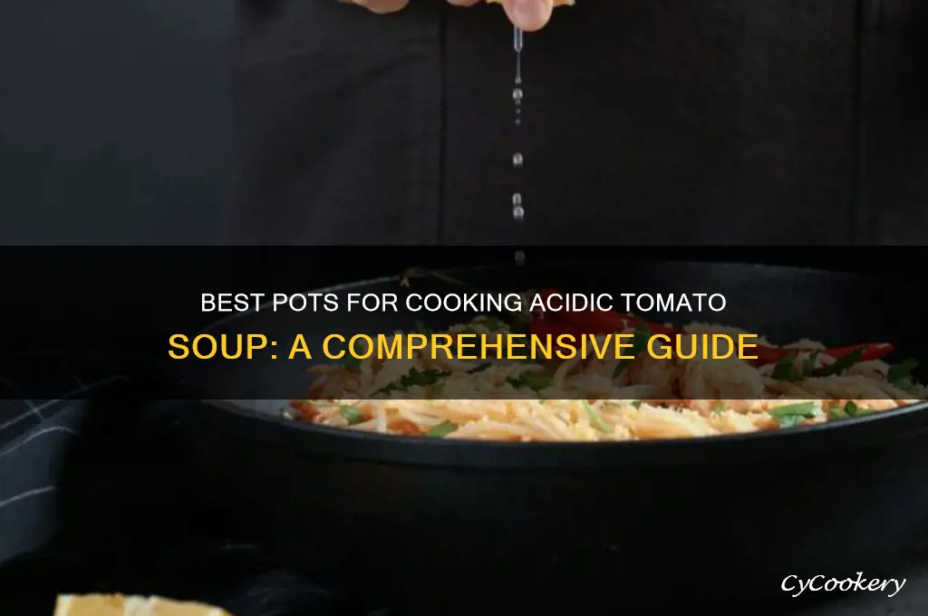 what kind of pot to cook acidic food tomato soup