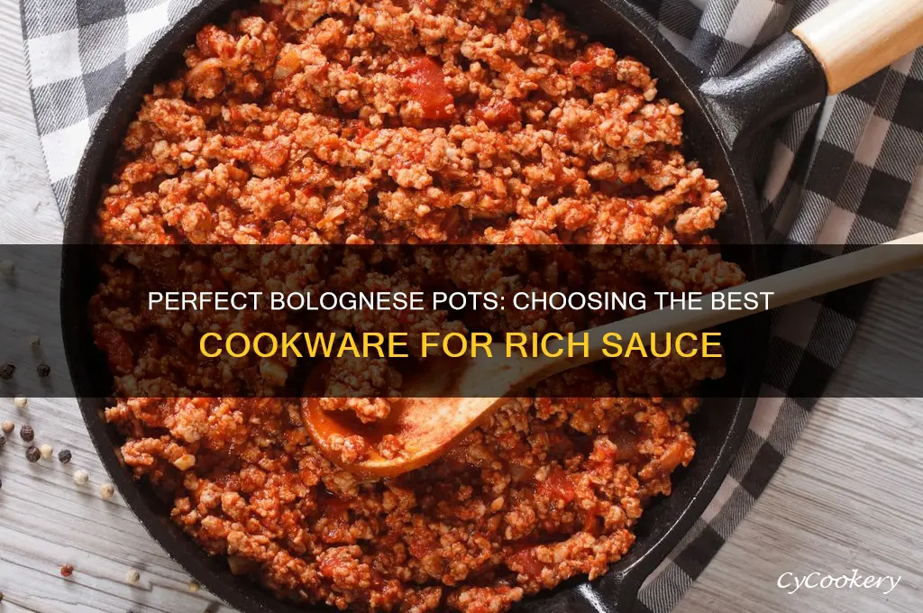 what kind of pot to cook bolognese