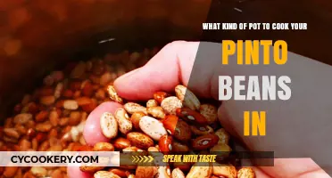 Best Pots for Cooking Perfect Pinto Beans: A Comprehensive Guide