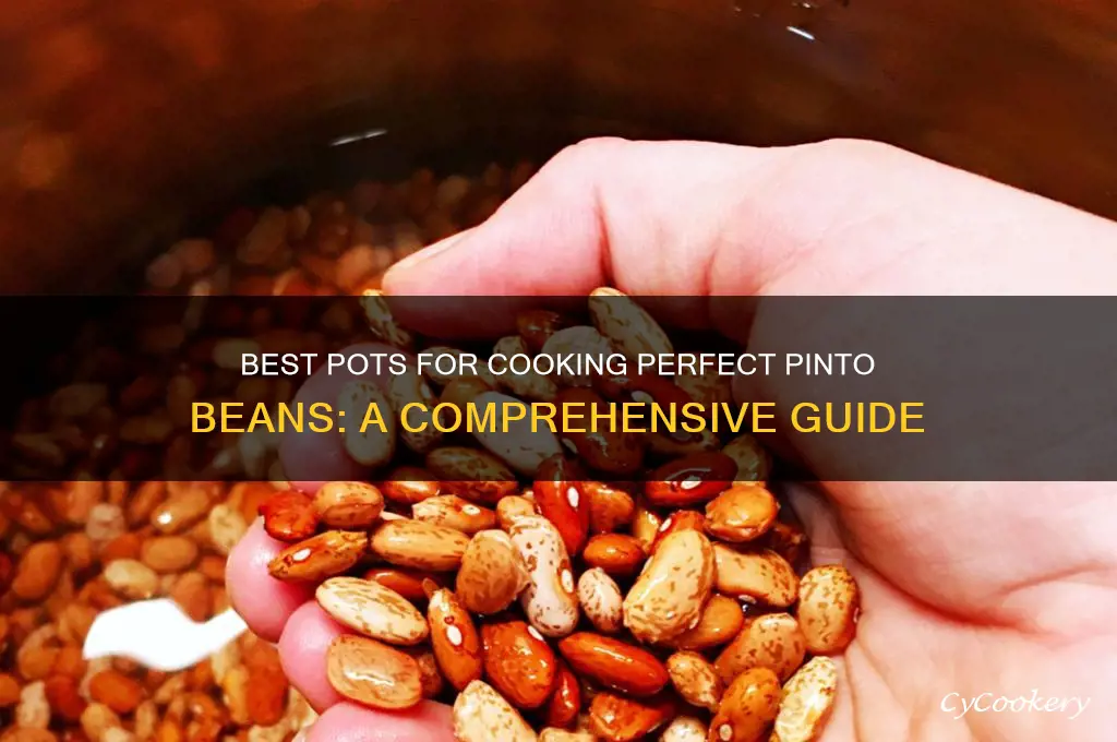 what kind of pot to cook your pinto beans in