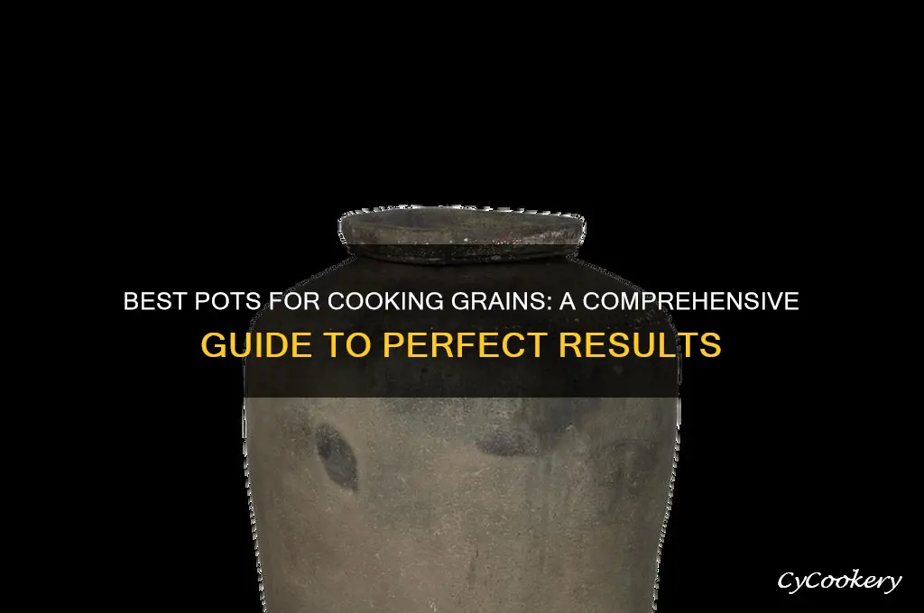 what kind of pot would you cook grains in