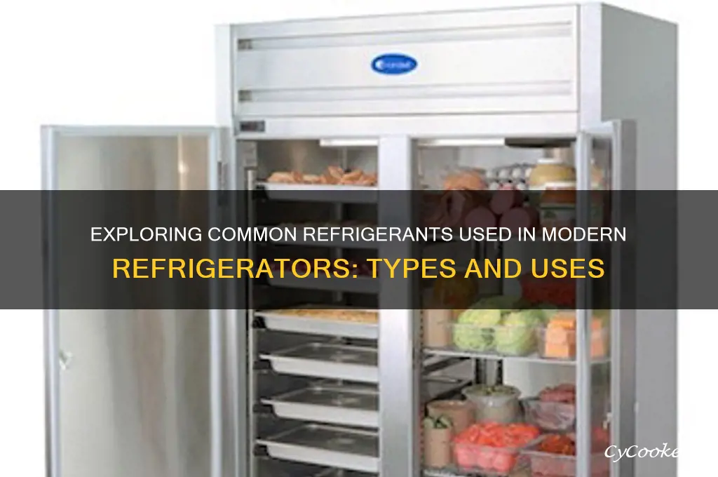 what kind of refrigerant do refrigerators use