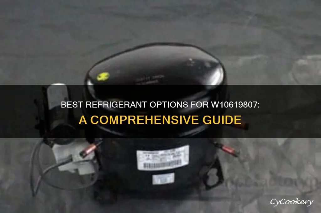 what kind of refrigerant i can use for w10619807