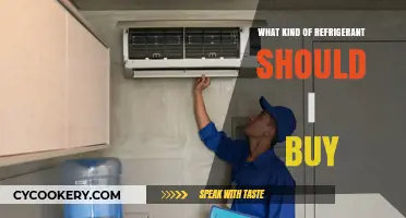 Choosing the Right Refrigerant: A Comprehensive Guide for Buyers