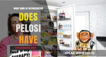 Pelosi's Refrigerator: A Look Inside Her Kitchen Appliances