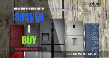 Choosing the Perfect Fridge: A Guide to Buying Your Ideal Refrigerator