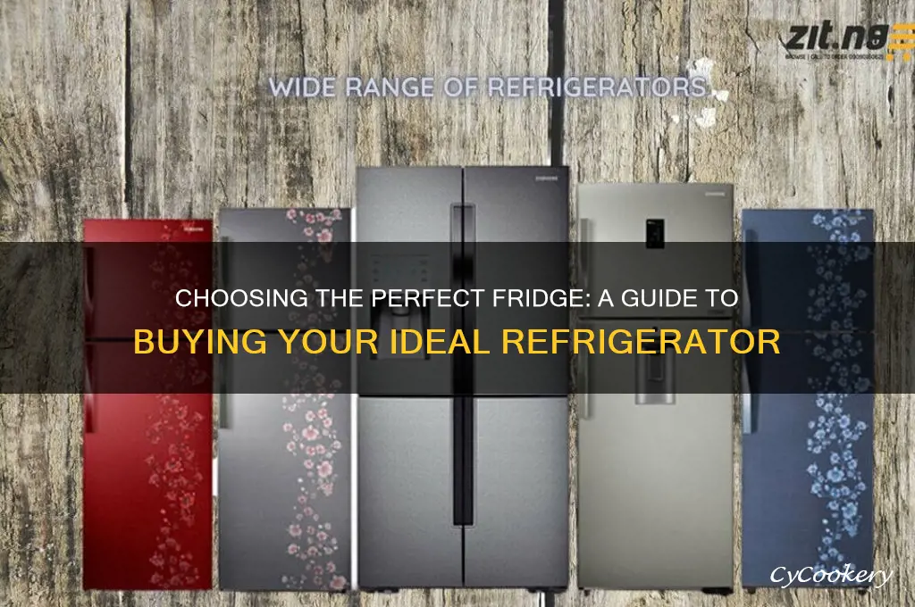 what kind of refrigerator should i buy