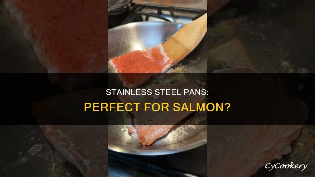 what kind of stainless steel pan is best for salmon