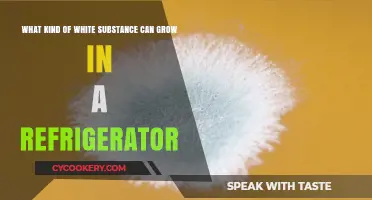 Mysterious White Substance in Your Fridge: Causes and Solutions