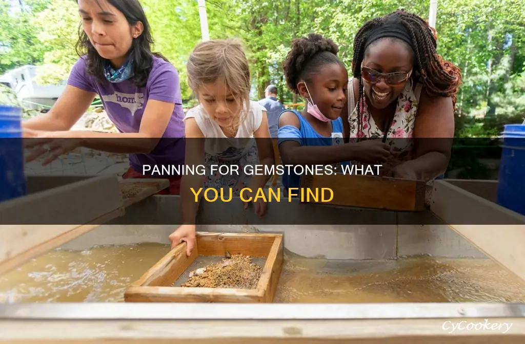 what kinds of gems can you pan for