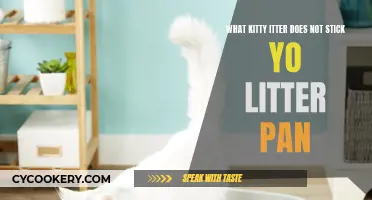 Best Kitty Litter That Doesn't Stick to Litter Pan