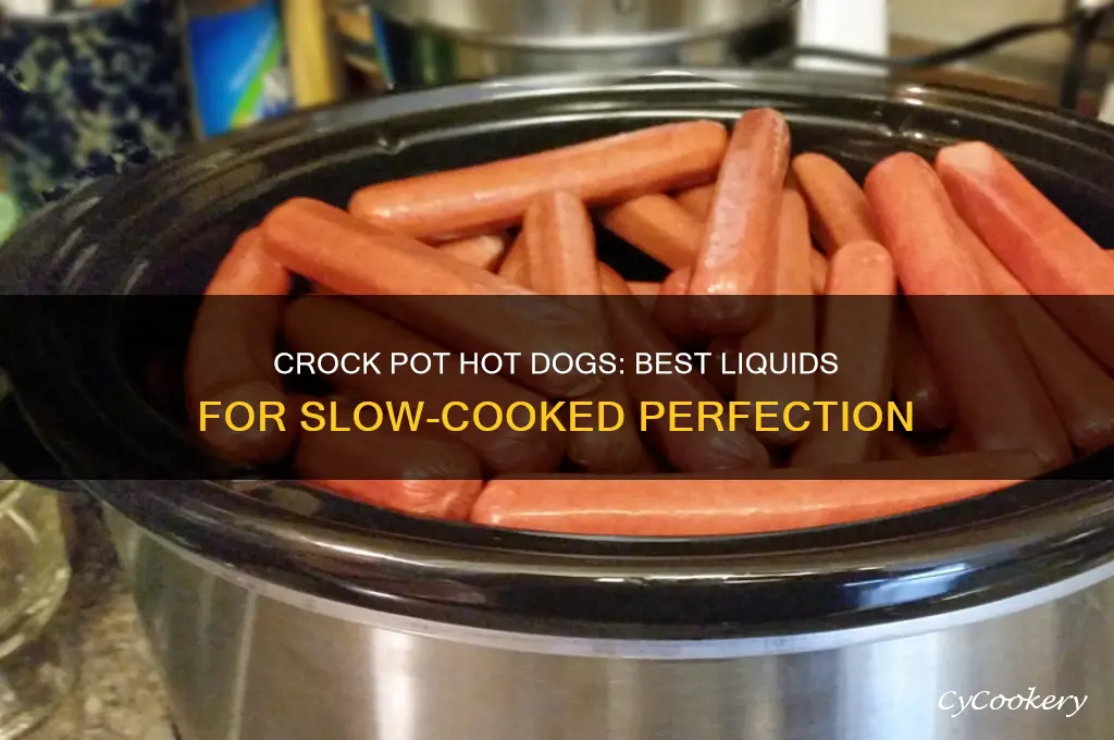 what liquid can you cook hot dogs in crock pot