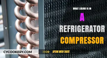 Understanding the Refrigerator Compressor: What Liquid is Inside?