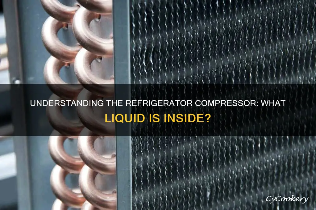 what liquid is in a refrigerator compressor