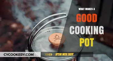 Essential Features of a Perfect Cooking Pot for Every Kitchen
