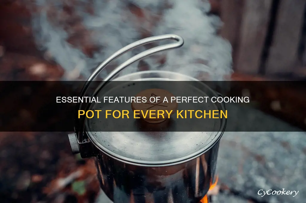 what makes a good cooking pot