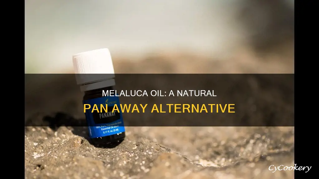 what melaluca oil compares to pan away young living