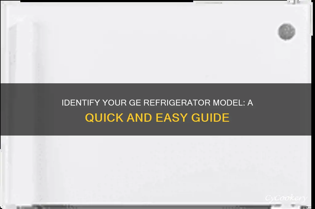 what model ge refrigerator do i have
