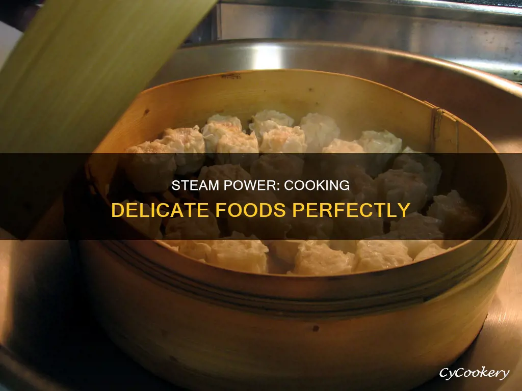 what object uses steam to cook delicate foods