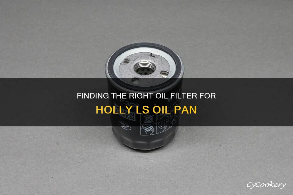 what oil filter fits holly ls oil pan