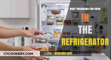 Chilling Discoveries: Organisms That Thrive in Your Refrigerator