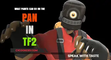 TF2 Paint Guide: Pans and Colors Explored