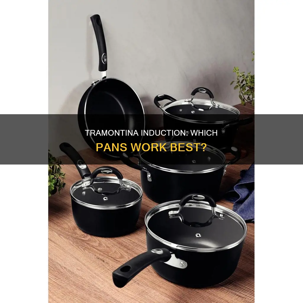 what pan can I use on a tramontina induction