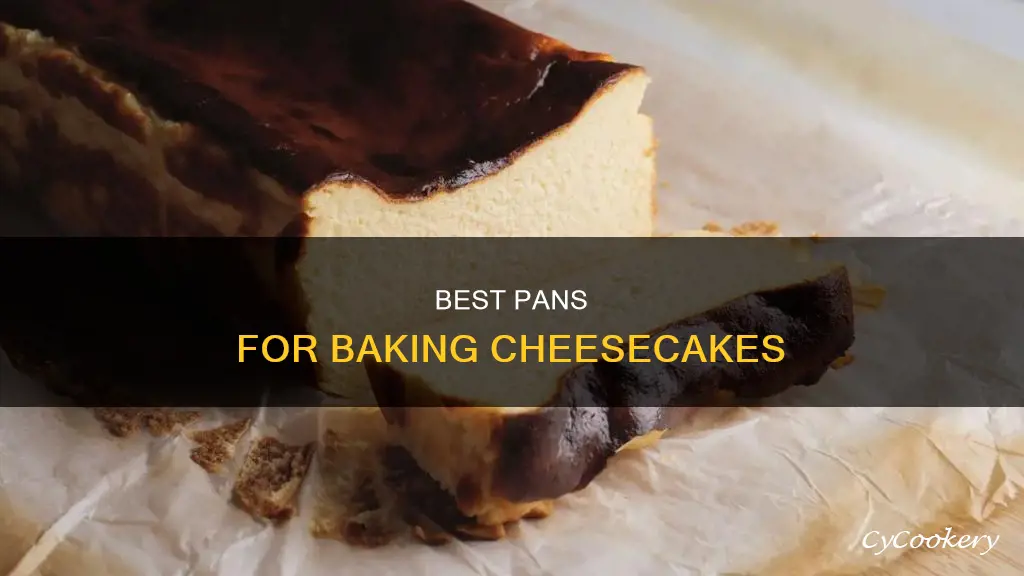 what pan can I use to make a cheesecake