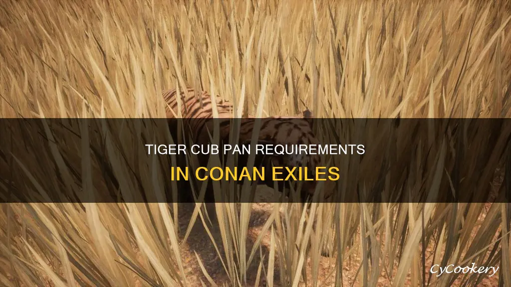 what pan do you need for tiger cub conan exiles