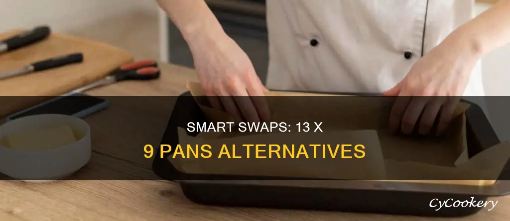 what pans can I switch with 13 x 9