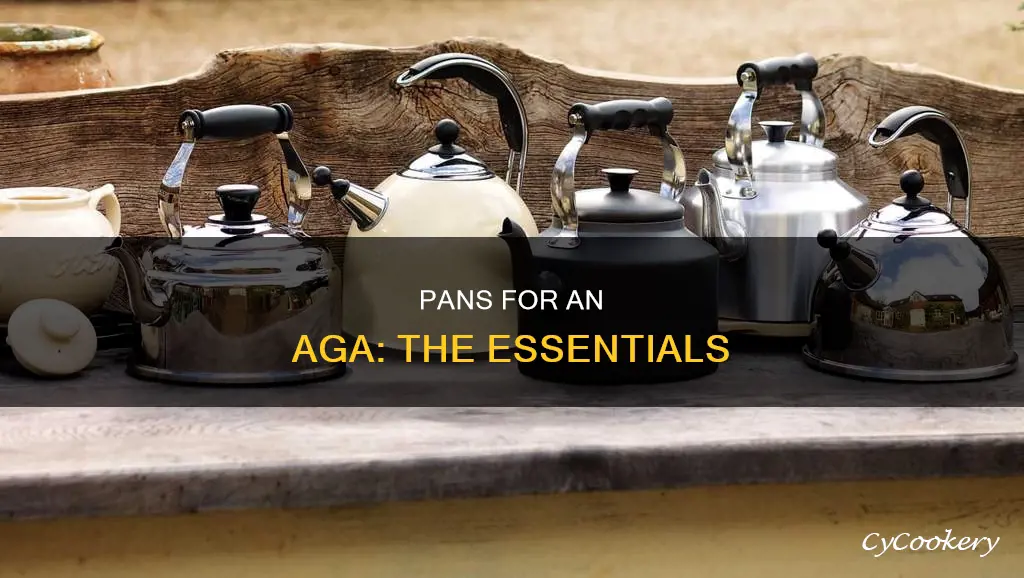 what pans do I need for an aga