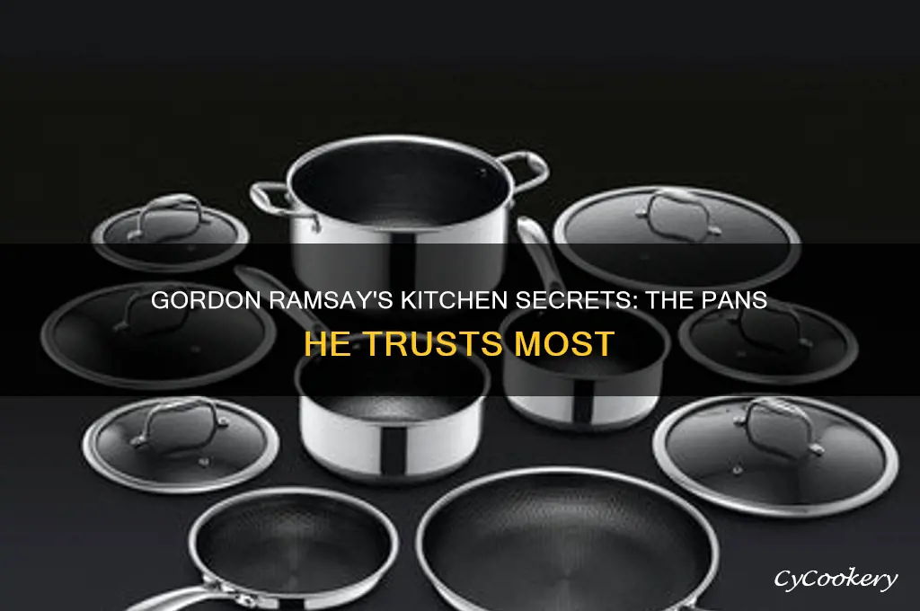 what pans does gordon ramsay actually use