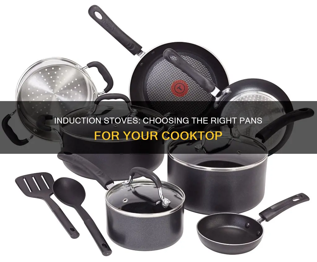 what pans work with induction stoves