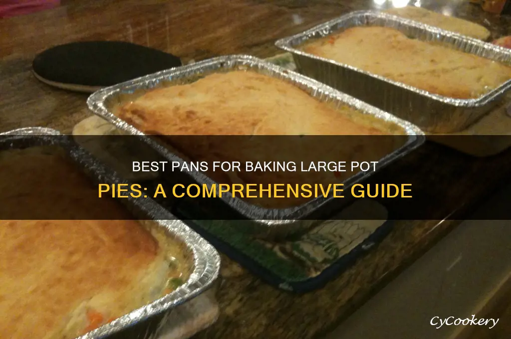 what pant to cook large pot pie in