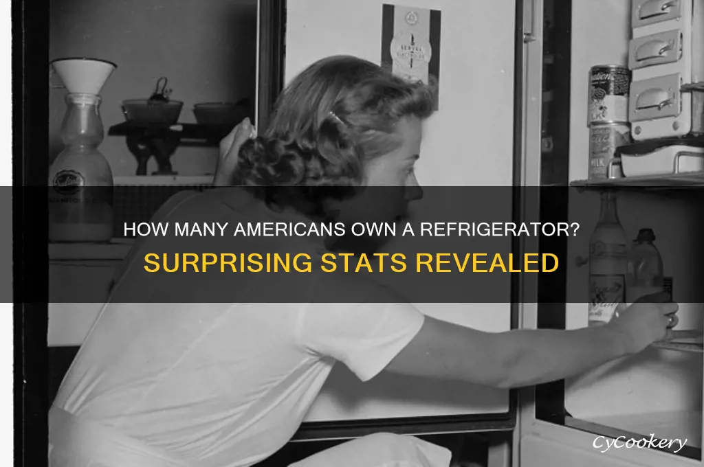 what percentage of americans have a refrigerator
