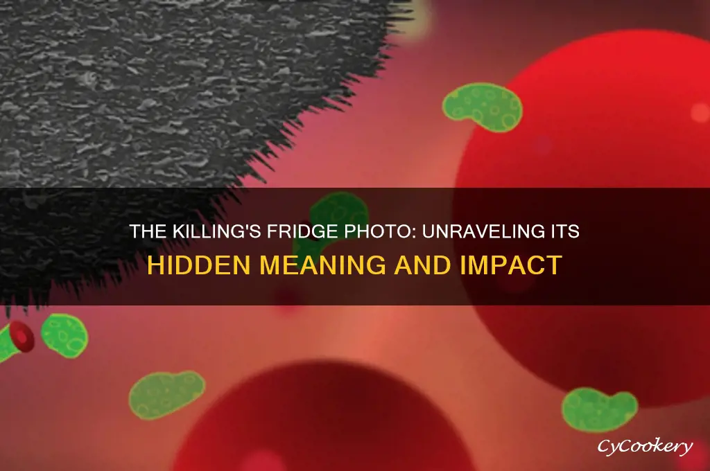 what picture hanging on refrigerator the killing