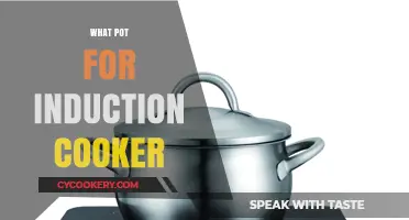 Best Pots for Induction Cookers: A Quick Guide