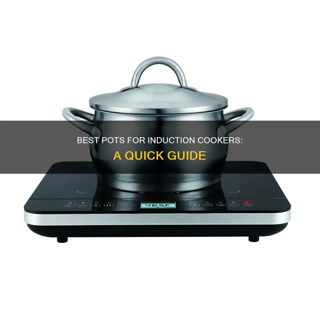 what pot for induction cooker