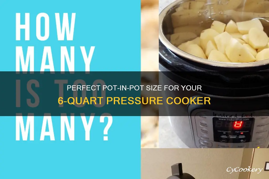 what pot in pot size fits 6qt pressure cooker