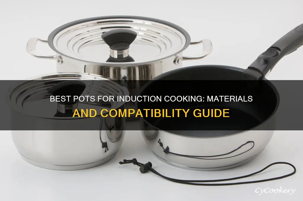 what pot material for cooking on induction cooktop