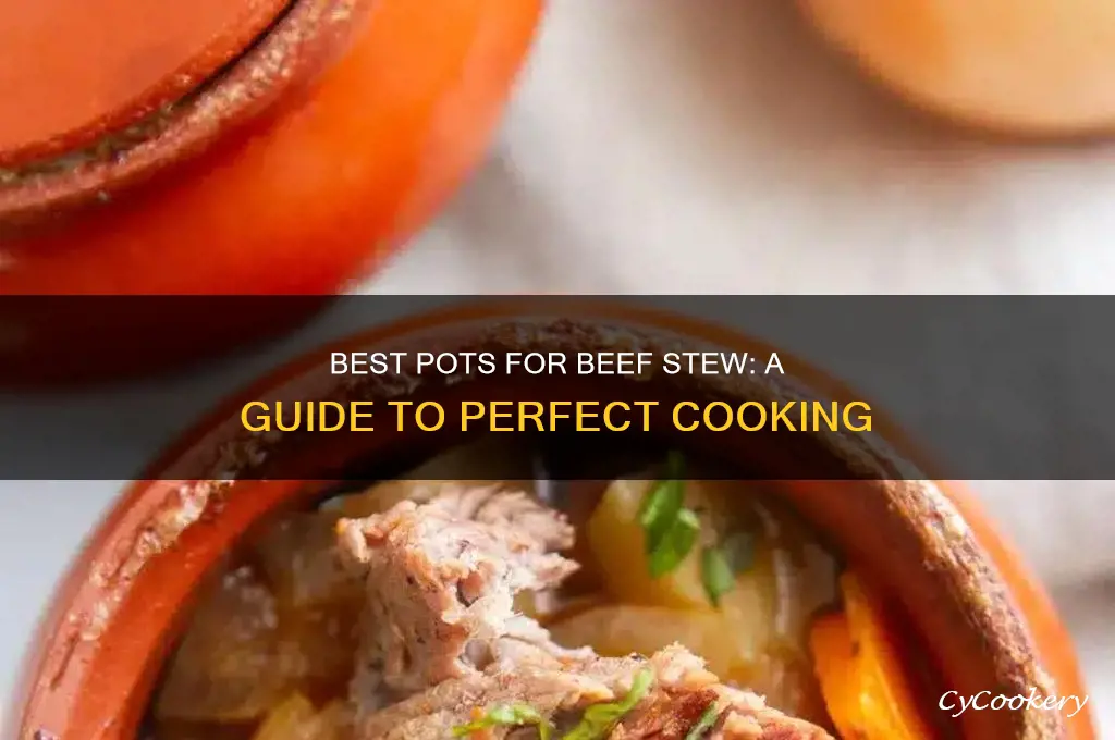 what pot to cook beef stew in
