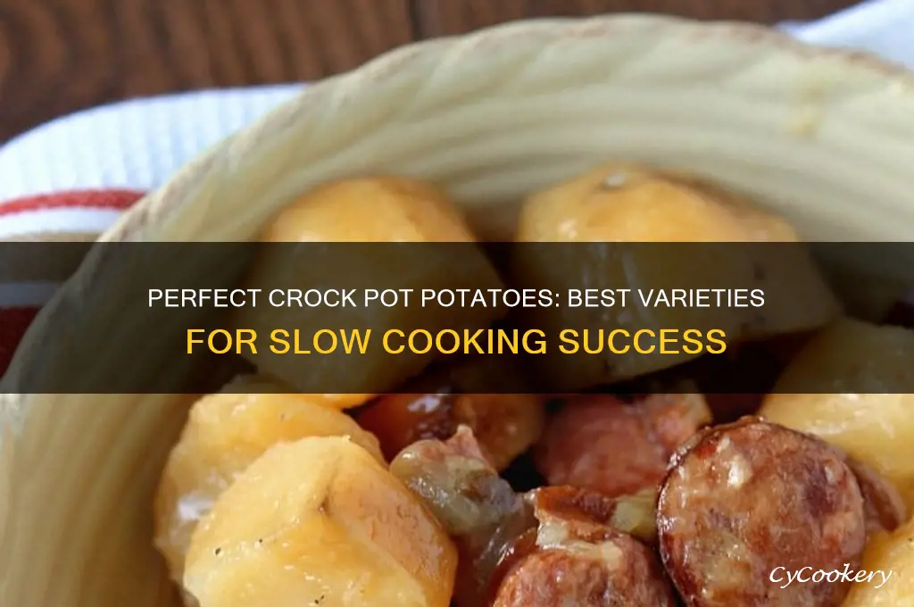 what potatoes cook best in crock pot